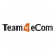 Team4eCom Logo