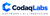 CodaqLabs Logo