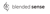 Blended Sense Logotype