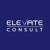 Elevate Consult Logo