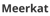Meerkat Coding Logotype