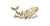 Whale Agency Logo