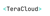 TeraCloud, Inc. Logo