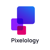 pixelology labs Logotype