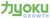 Ryoku Growth Logotype