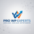 Pro WP Experts Logotype