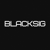 BlackSig Systems Logo