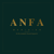 ANFA MERIDIAN Logotype