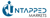 Untapped Markets Logotype