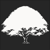 Deep Woods Security Logotype