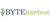 BYTEHARVEST SERVICES FZCO Logotype
