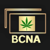 Best Copy Now Agency (BCNA) Logotype