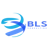 BLS Consulting Logotype