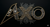ALIENXO llc Logotype