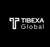 Tibexa Global Logo