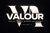 Valour Media Logo