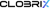 CLOBRIX TECHNLOGIES Logotype