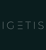 Igetis Business Consulting Logotype