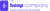 The Baap Company Logo