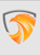 Detective Agency India Logo