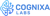 Cognixa Labs LLC Logotype