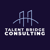 Talent Bridge Consulting LLC Logotype