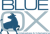Blue Ox Websites & Marketing Logotype