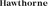 Hawthorne Branding Logotype