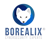 Borealix Logotype