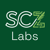 SCZ Labs LLC Logotype