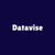 DataVise Consulting Logotype