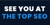 SEE YOU AT THE TOP SEO Logotype
