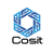 Cosit Logotype