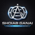 Shoiab Ganai - Digital Marketing Expert Logo