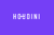 Houdini Logotype