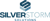 Core Consulting DBA Silver Storm Solutions Logotype