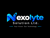 Nexolyte Solution Ltd Logotype