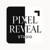 Pixel Reveal Logo