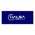 Halsa Global Logo