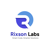 Rixson Labs Logotype