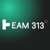 Team 313 Ltd Logo