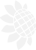 Chamberlain Jones LLC Logotype