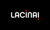 Antoni Lacinai Logotype