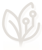 Ciqualia Logotype