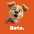 Betograpy Logotype