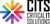 Critical IT Solutions Logo