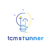 TCM STUNNER IT CONSULTANTS LLP Logotype
