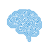 JAV BRAIN Logo