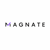 Magnate Infotech Logotype