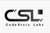 CodeStory Labs Logotype
